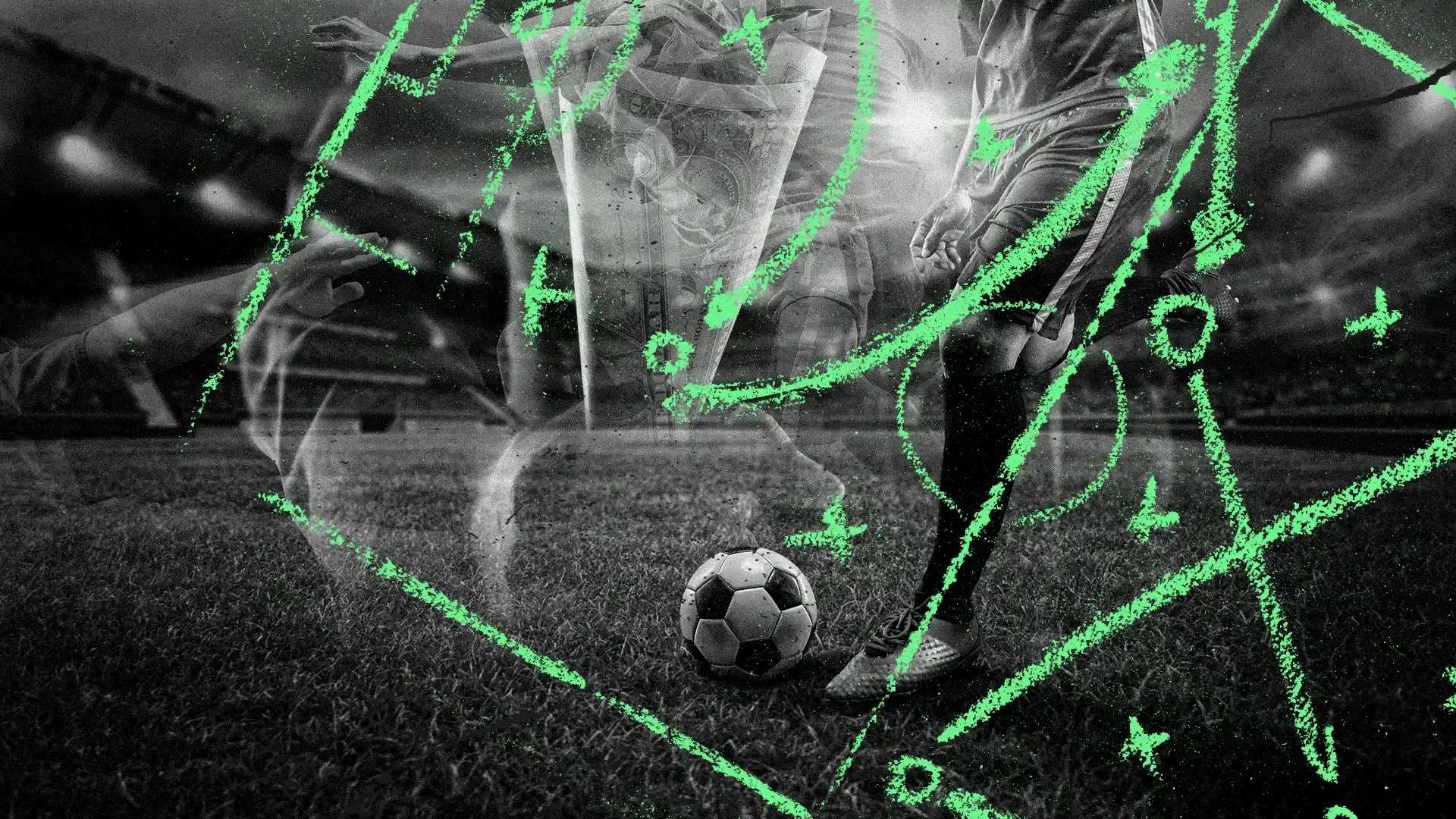 玉米种植中 玉米种植中