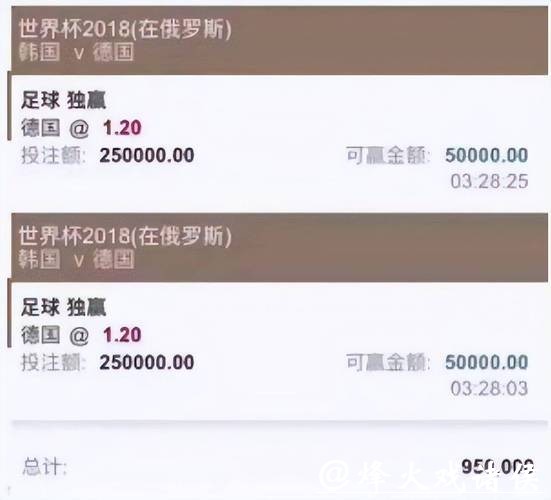 世界杯投注平台:最佳球迷投注指南 世界杯投注平台:最佳球迷投注指南